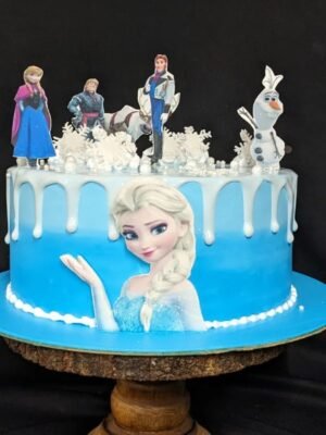 Theme Frozen Cakes
