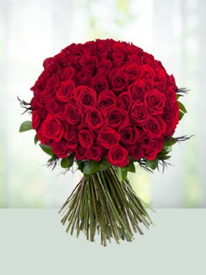100 Red Roses For Love